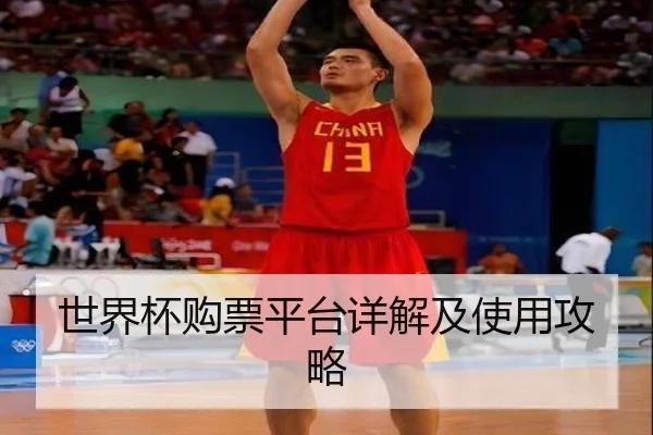 世界杯购票平台详解及使用攻略 | PG