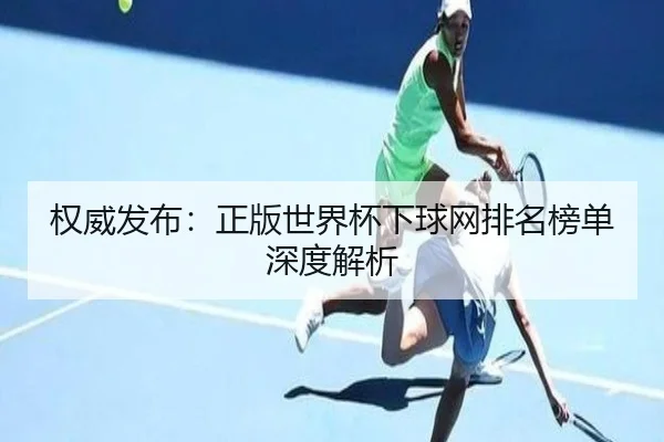 权威发布：正版世界杯下球网排名榜单深度解析 | PG